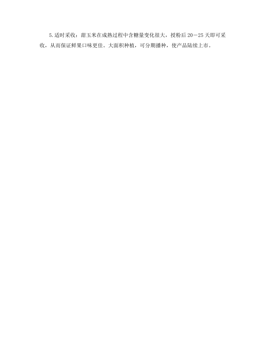 优质抗病穗大新品种――超甜613玉米的栽培要点.docx_第2页