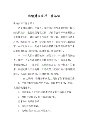 出纳财务实习工作总结范文.docx