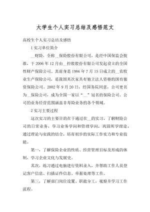 大学生个人实习总结及感悟范文例文.docx