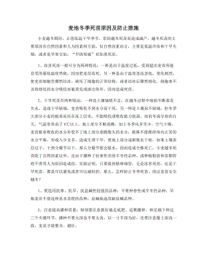 麦地冬季死苗原因及防止措施.docx