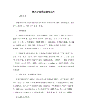 优质小麦栽培管理技术.docx