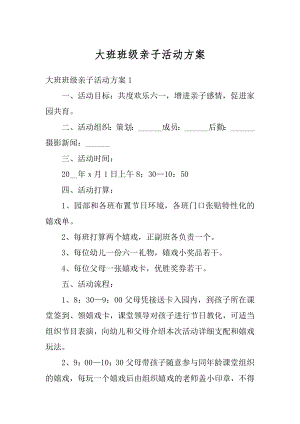 大班班级亲子活动方案精编.docx