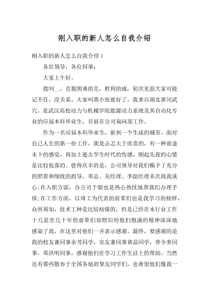 刚入职的新人怎么自我介绍范例.docx