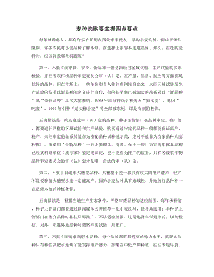 麦种选购要掌握四点要点.docx