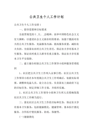 公共卫生个人工作计划优质.docx