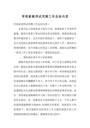 学校新教师试用期工作总结内容精编.docx