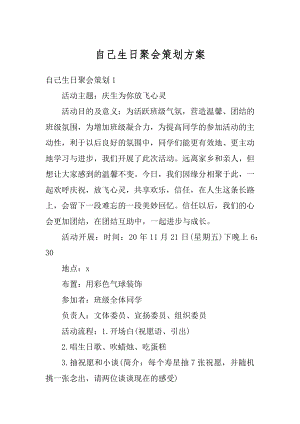 自己生日聚会策划方案例文.docx