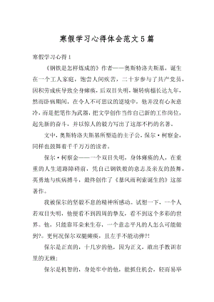 寒假学习心得体会范文5篇例文.docx