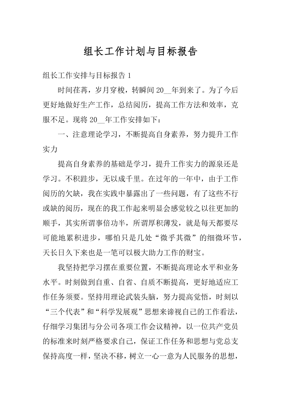 组长工作计划与目标报告精选.docx_第1页