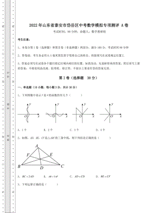 【历年真题】2022年山东省泰安市岱岳区中考数学模拟专项测评-A卷(含详解).docx