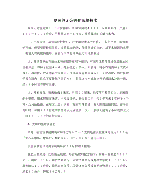 夏莴笋无公害的栽培技术.docx