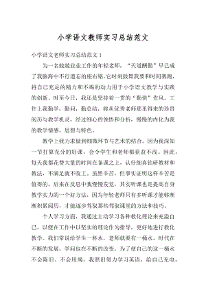 小学语文教师实习总结范文范例.docx