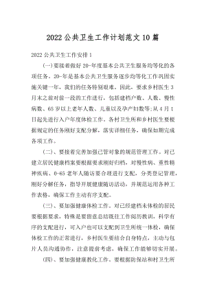 2022公共卫生工作计划范文10篇最新.docx