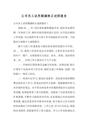 公司员工试用期满转正述职报告汇编.docx