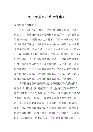 关于文员实习的心得体会范例.docx