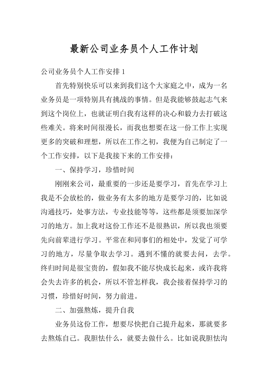 最新公司业务员个人工作计划范本.docx_第1页