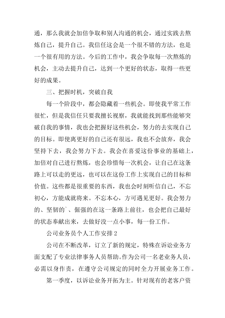 最新公司业务员个人工作计划范本.docx_第2页