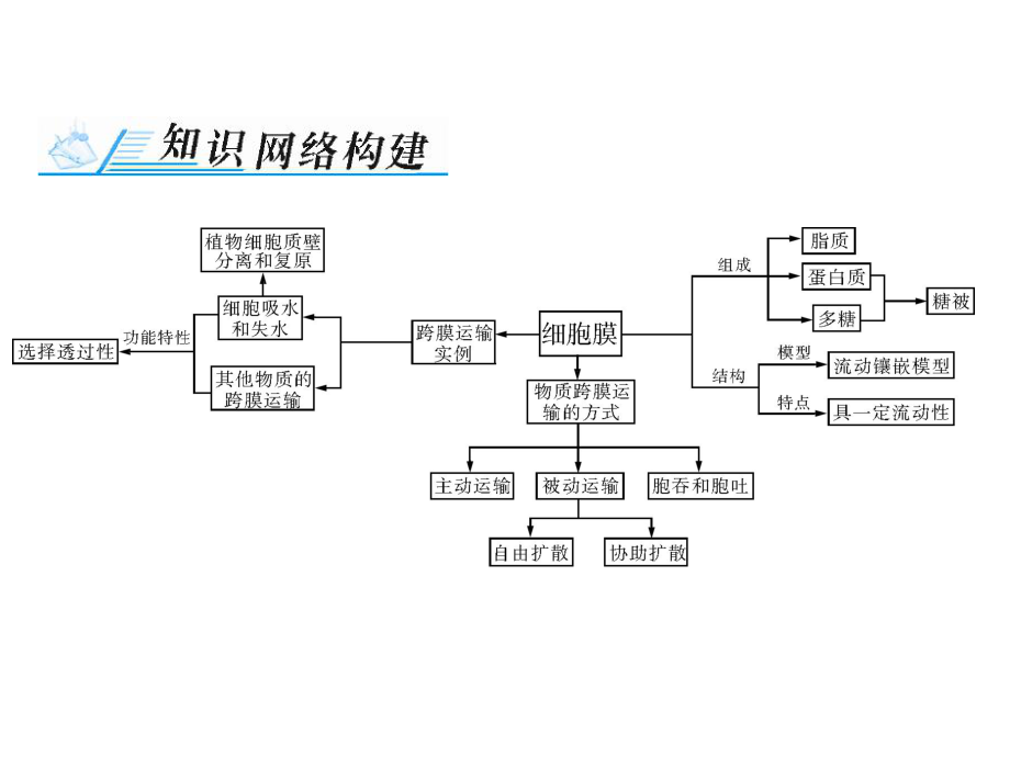 【南方新课堂】2018高中生物高考总复习必修1第4章章末知识提升[配套课件].ppt_第2页