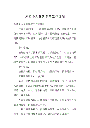 总监个人最新年度工作计划最新.docx