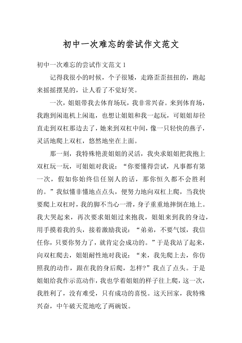 初中一次难忘的尝试作文范文优质.docx_第1页