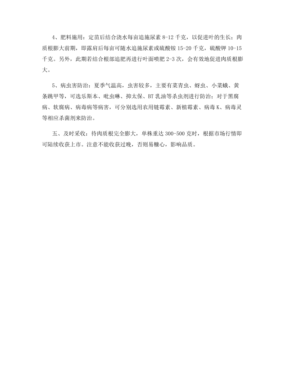 萝卜的越夏栽培技术.docx_第2页