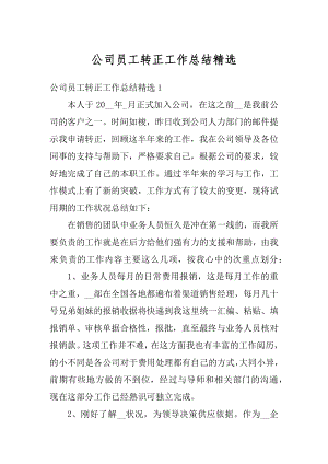 公司员工转正工作总结精选范文.docx