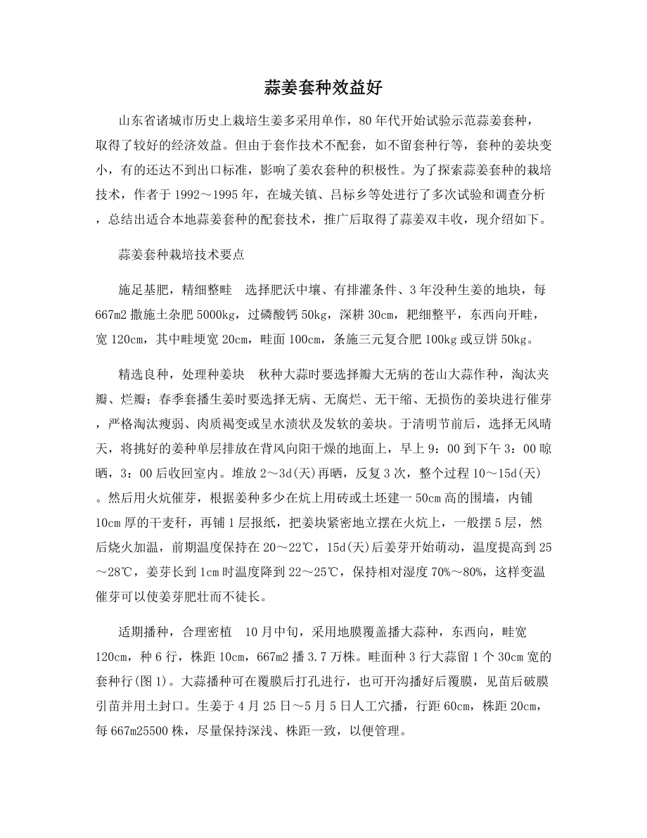 蒜姜套种效益好.docx_第1页