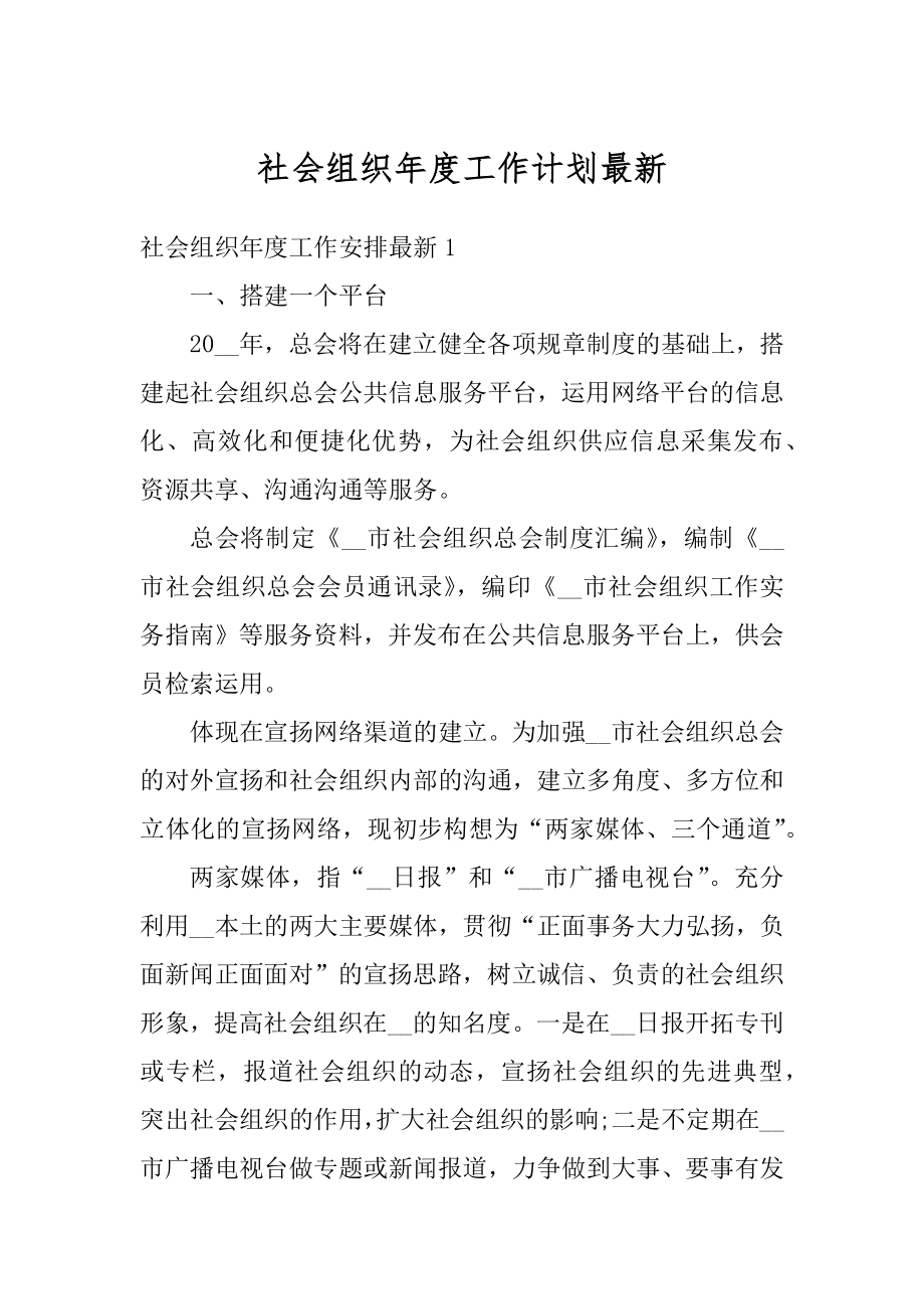 社会组织年度工作计划最新例文.docx_第1页