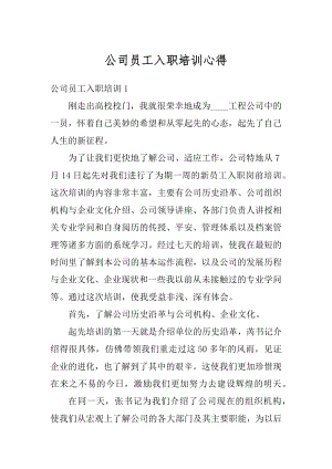 公司员工入职培训心得例文.docx