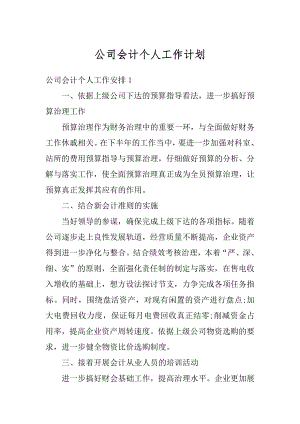 公司会计个人工作计划最新.docx