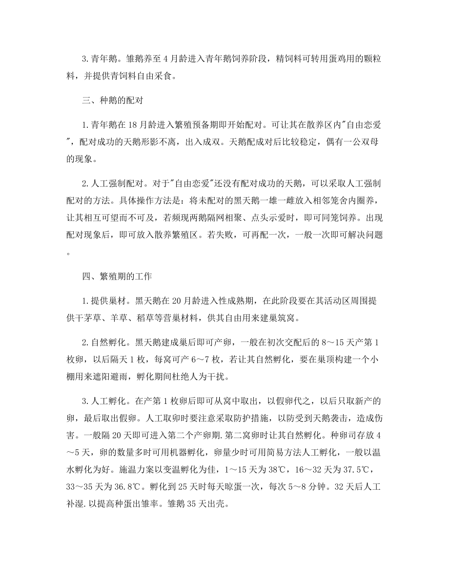 著名观赏珍禽黑天鹅的养殖技术.docx_第2页