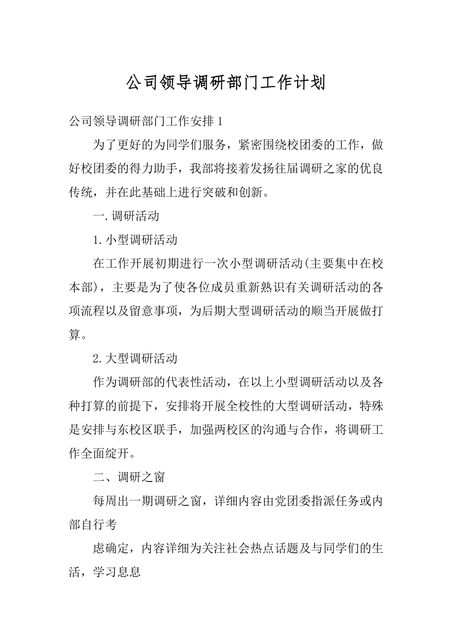 公司领导调研部门工作计划范文.docx_第1页