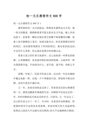 初一元旦感悟作文800字汇总.docx