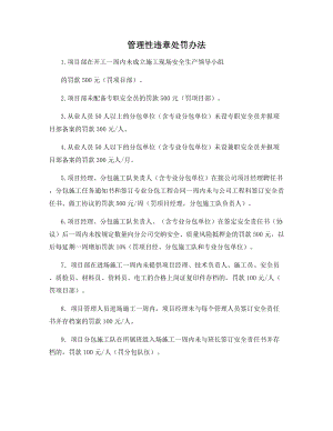 管理性违章处罚办法.docx