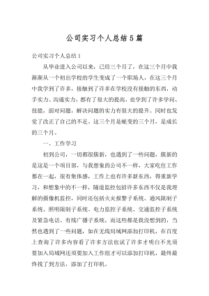 公司实习个人总结5篇范本.docx