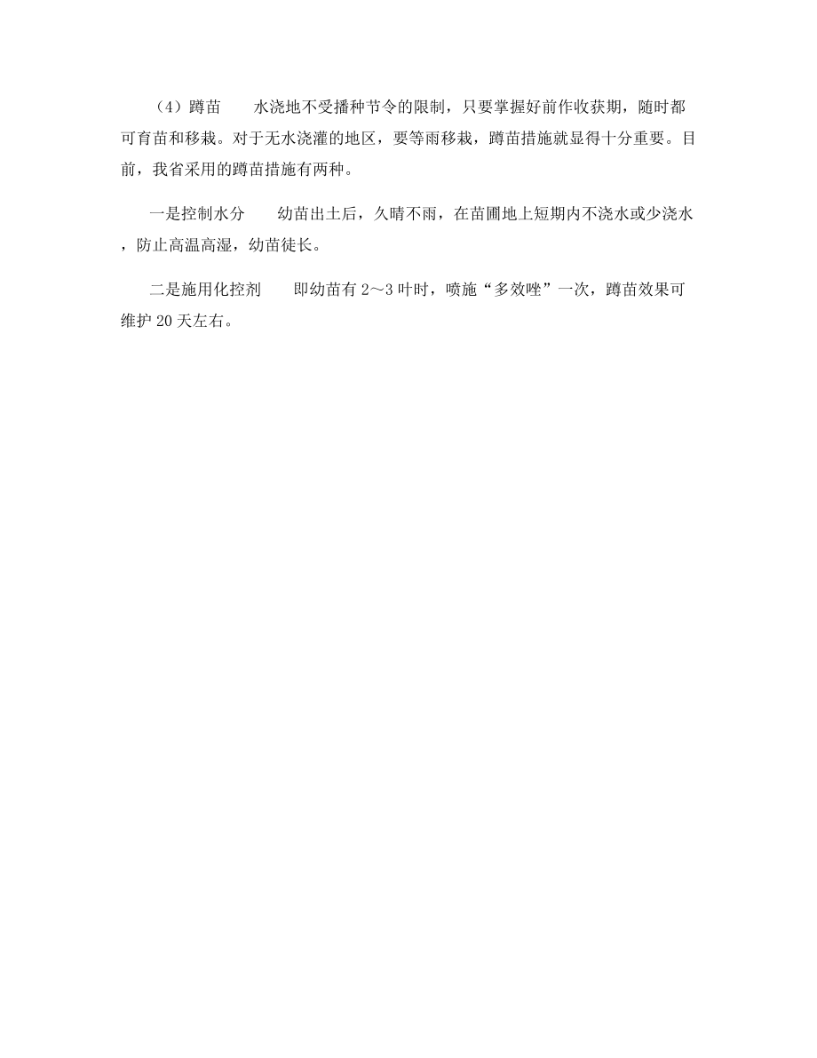 玉米育苗的移栽技术.docx_第2页