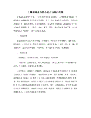 土壤消毒是防控小麦全蚀病的关键.docx