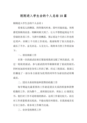 刚刚进入学生会的个人总结10篇优质.docx