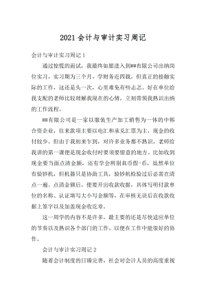 2021会计与审计实习周记精编.docx