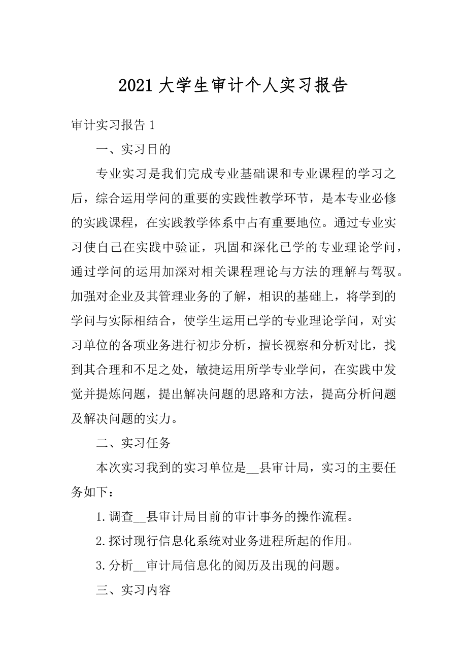 2021大学生审计个人实习报告精品.docx_第1页