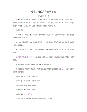 适合公司的户外活动方案精选.docx