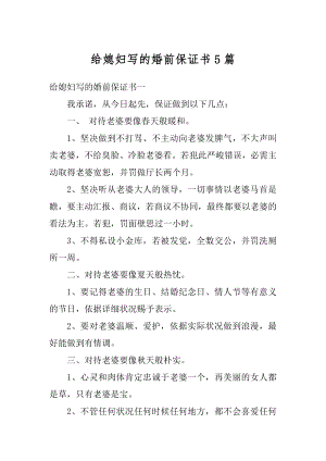 给媳妇写的婚前保证书5篇精品.docx