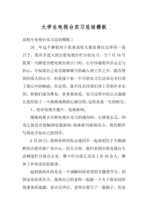 大学生电视台实习总结模板精编.docx