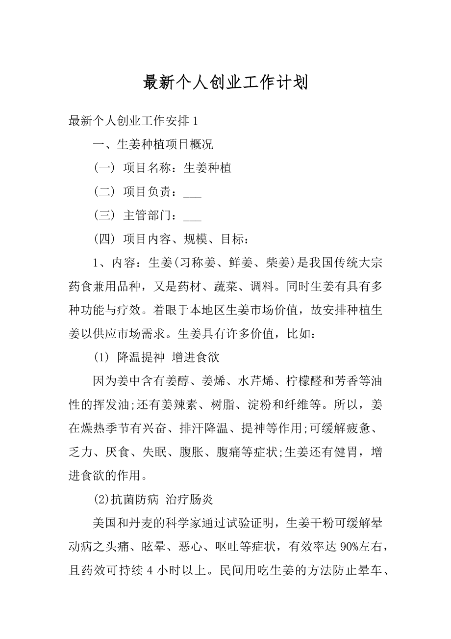 最新个人创业工作计划最新.docx_第1页