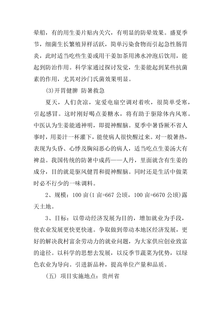 最新个人创业工作计划最新.docx_第2页