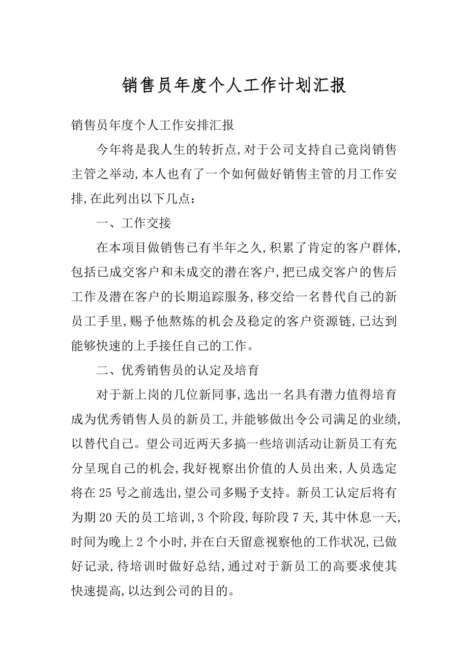 销售员年度个人工作计划汇报范文.docx_第1页