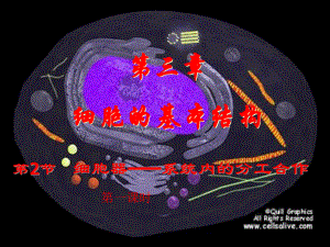 第2节　细胞器——系统内的分工合作.ppt