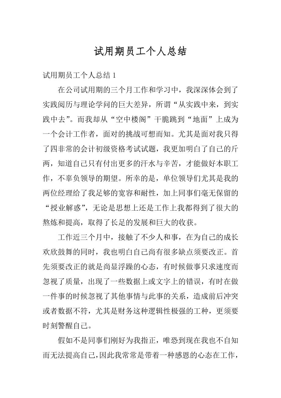 试用期员工个人总结精编.docx_第1页