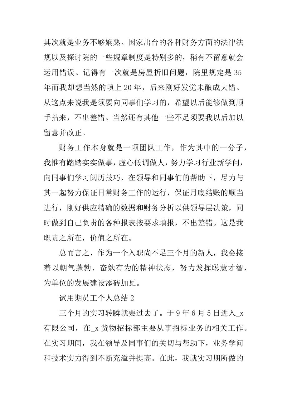 试用期员工个人总结精编.docx_第2页