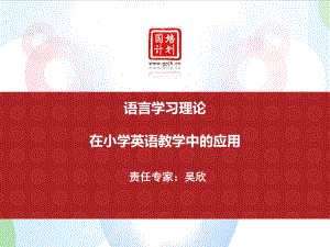 语言学习理论在小学英语教学中的应用.ppt